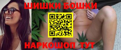 крисы Пенза