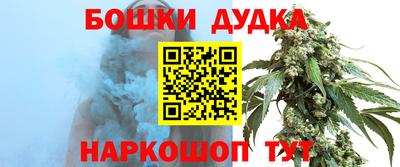 крисы Пенза