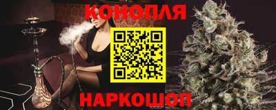 крисы Пенза