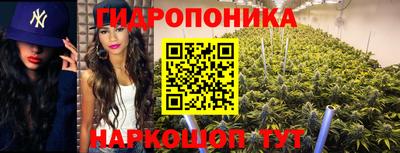 крисы Пенза