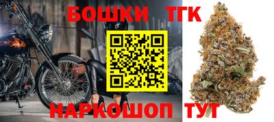 крисы Пенза