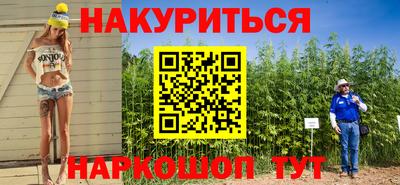 крисы Пенза