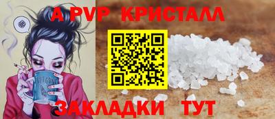 крисы Пенза