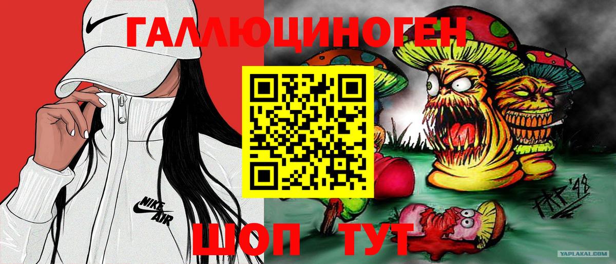 Рассказово  Галлюциногенные грибы Psilocybine cubensis  Вход с VPN 