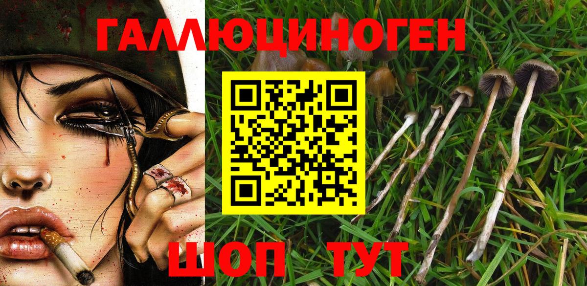 Псилоцибиновые грибы ЛСД Рассказово